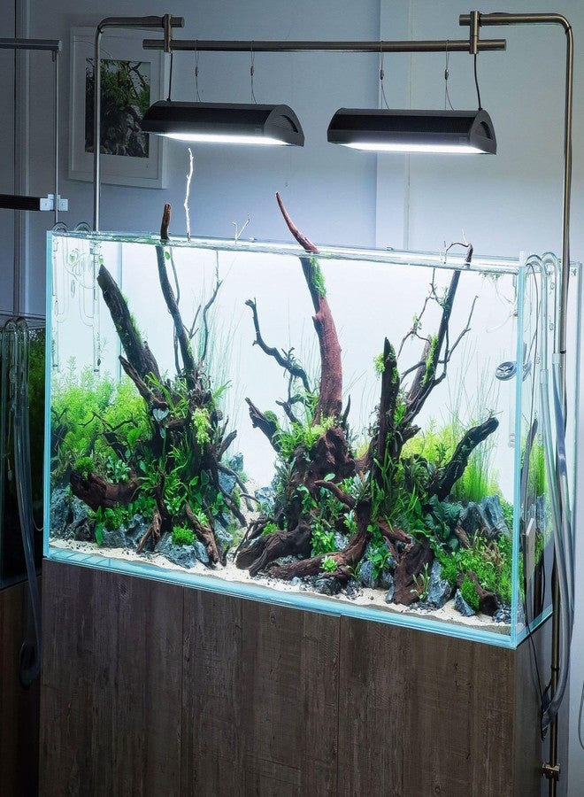 ملصق خلفية زجاجي مصنفر من فاييناتو لحوض أسماك الزينة (60 سم × 60 سم) من إنتاج بيتزلايف وورلد. - Image 2